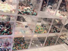 -新发展亚太JW万豪酒店·福苑咖啡厅