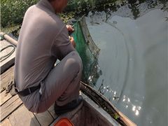 -阳澄湖大闸蟹·琼灵阁牌品牌连锁(吴中总店)