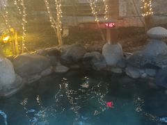 -张家港金凤凰度假村温泉