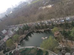 -山东大厦