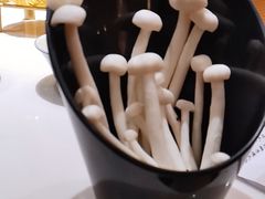 -东椰·海南椰子鸡火锅(朝阳门店)