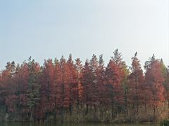 -江南雅厨(李公堤店)