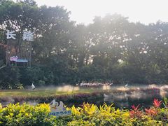 -广州长隆飞鸟乐园