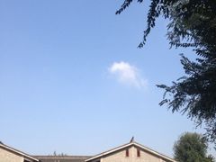 -鸿恩陶然大观园