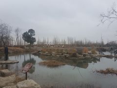 -泗洪洪泽湖湿地景区