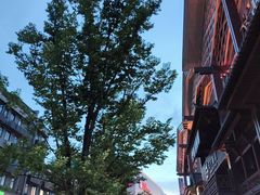 -不倒翁·安徽名菜楼(步行街店)