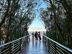 -上海吴淞炮台湾国家湿地公园