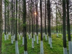 -艾溪湖湿地公园