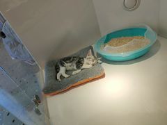 -龟与熊猫宠物公园(南坪店)