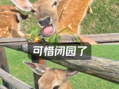-苏州太湖西山岛开心农场