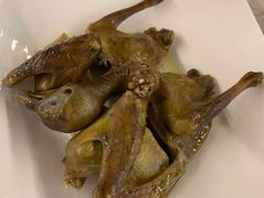 -百利鸽王(紫薇路店)