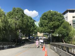 -上海中医药大学附属曙光医院(东部)