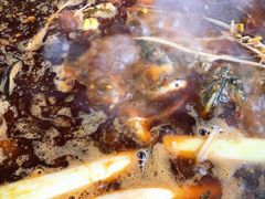 -金海椒罐罐鲢鱼(东方桂苑店)