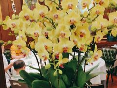 -蝶园·装修中(BFC外滩金融中心店)