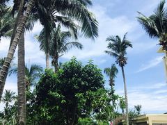 -三亚亚龙湾天域度假酒店