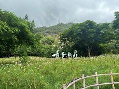 -青青世界