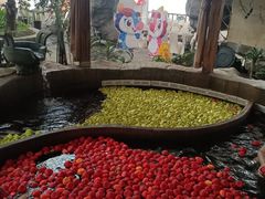 -渔岛海洋度假区