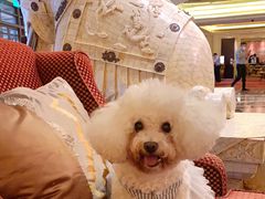 -北京中国大饭店