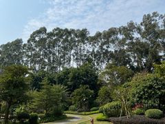 -南宁荔园维景国际酒店·荔园中餐厅