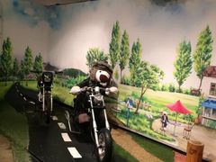 -济州岛泰迪熊博物馆