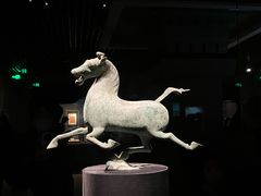 -甘肃地质博物馆