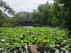 -上海醉白池公园