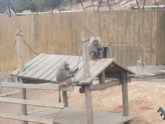 -大连森林动物园