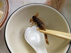 -国英炖品店(甲子路店)