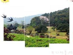 -龙寺生态园