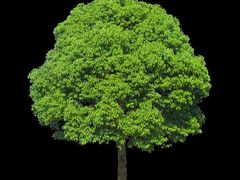 -沃美影城焕影岛LED/中国巨幕(万象汇店)