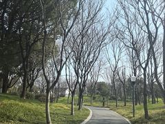 -巡塘古镇