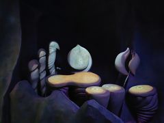 -贝壳梦幻世界