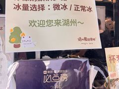 -猫的魔法密林(衣裳街店)