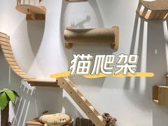 -COLOR PETS 撸猫馆·购猫·猫咖(长风大悦城店)