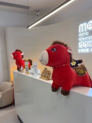 -妈妈时光机医疗产后修复(南山茂业百货店)