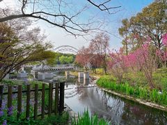 -上海共青森林公园