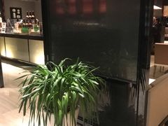 -青岛富力艾美酒店