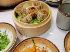 -菌子鲜汤野生菌锅