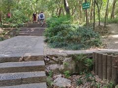 -紫金山山顶公园