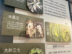-北京中医药大学-中医药博物馆