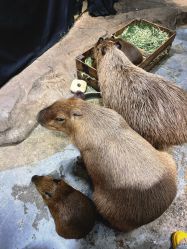 -Zoolung Zoolung动物主题公园(海信广场店)