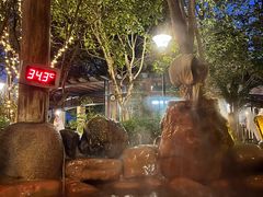 -张家港金凤凰度假村温泉