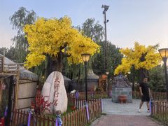 -大汗行宫园林餐厅