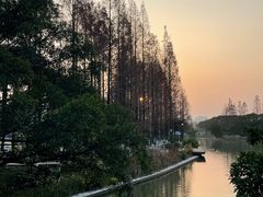 -江心屿景区