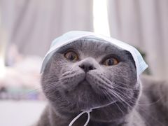 -佳能相机·普晶官方店(成都华凌西南婚纱摄影器材城店)