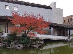 -秋霞圃