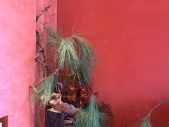 -醉东Oriental House(静安嘉里中心店)