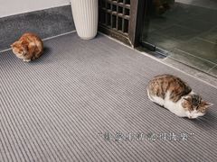 -法云安缦酒店