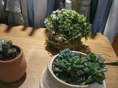 -摩登百货(岗顶店)