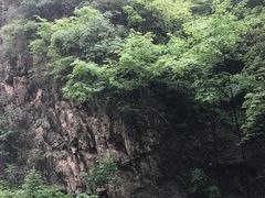 -北京上方山国家森林公园
